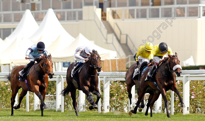 Miss-Information-0006 
 MISS INFORMATION (Oisin Murphy) beats SEAX (centre) and WESTERN (left) in The Events At Ascot Christmas Parties British EBF Restricted Novice Stakes
Ascot 8 Sep 2023 - Pic Steven Cargill / Racingfotos.com