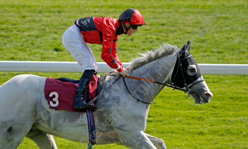 Silver-Samurai-0007 
 SILVER SAMURAI (Ben Curtis) wins The Betfred Supports Jack Berry House Handicap
Haydock 28 May 2022 - Pic Steven Cargill / Racingfotos.com