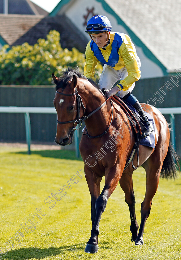 Zafeer-0002 
 ZAFEER (David Egan)
Yarmouth 18 Sep 2019 - Pic Steven Cargill / Racingfotos.com