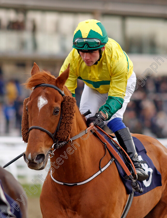 Sandy-Paradise-0001 
 SANDY PARADISE (Ethan Jones)
Lingfield 20 Jan 2024 - Pic Steven Cargill / Racingfotos.com