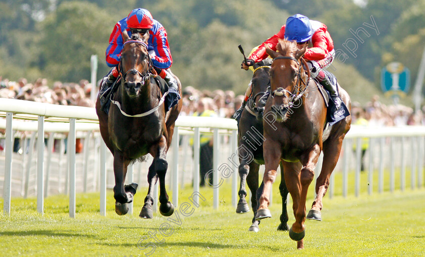 Threat-0004 
 THREAT (right, Oisin Murphy) beats LORD OF THE LODGE (left) in The Al Basti Equiworld Dubai Gimcrack Stakes 
York 23 Aug 2019 - Pic Steven Cargill / Racingfotos.com