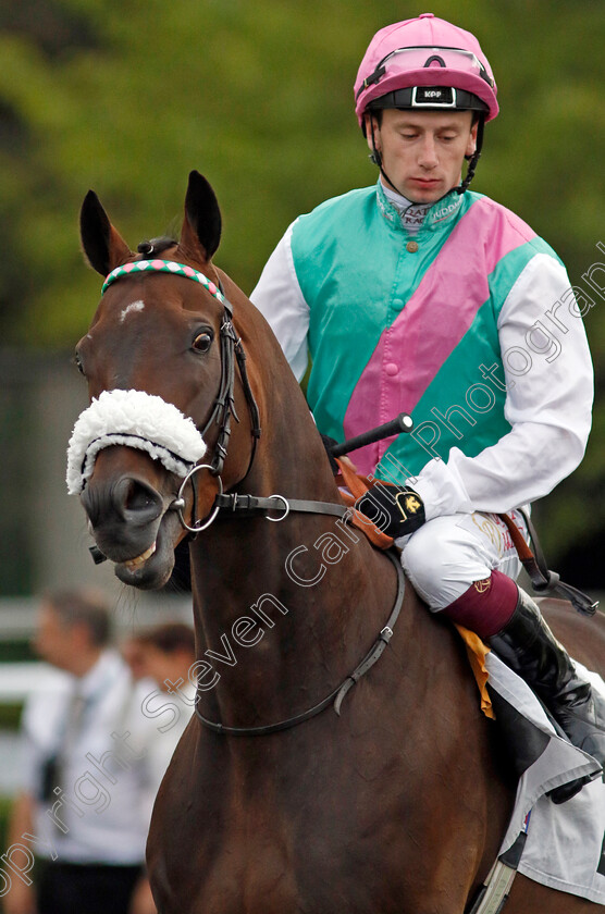 Leadman-0001 
 LEADMAN (Oisin Murphy)
Kempton 28 Aug 2024 - Pic Steven Cargill / Racingfotos.com