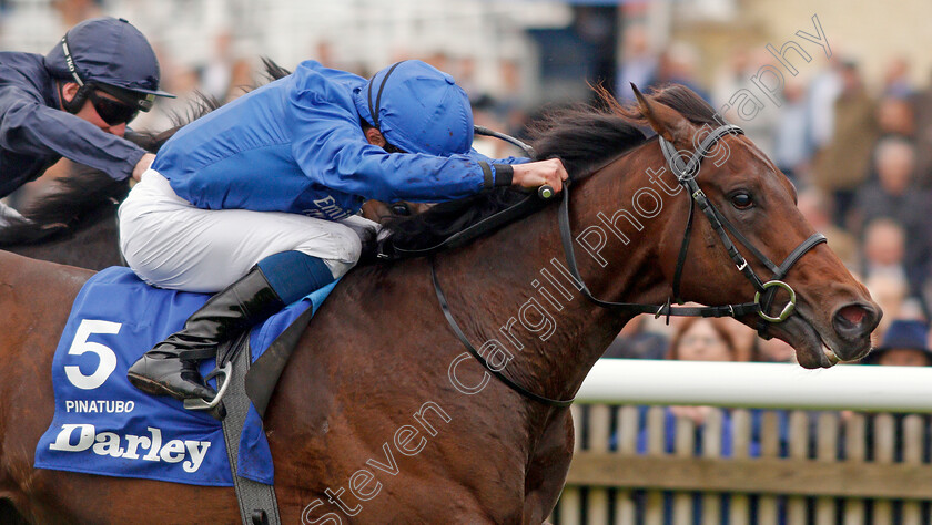 Pinatubo-0009 
 PINATUBO (William Buick) wins The Darley Dewhurst Stakes
Newmarket 12 Oct 2019 - Pic Steven Cargill / Racingfotos.com