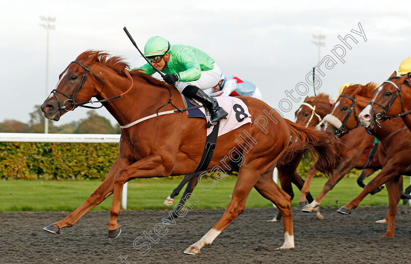 Tuscany-0004 
 TUSCANY (Raul Da Silva) wins The Racing UK Profits Returned To Racing Handicap Kempton 4 Oct 2017 - Pic Steven Cargill / Racingfotos.com