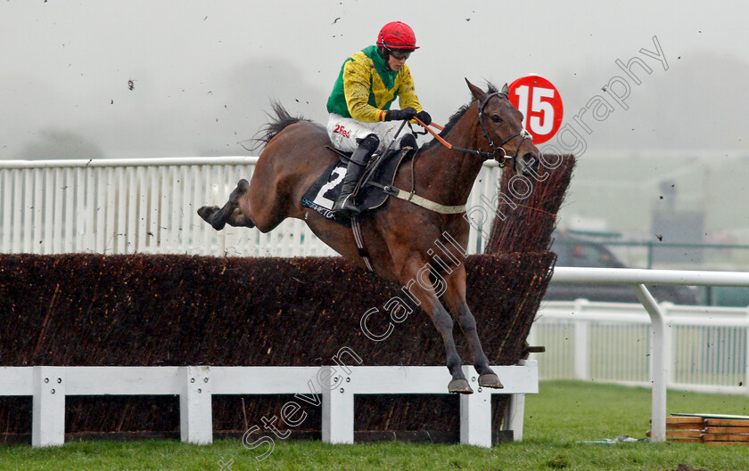 Sizing-Codelco-0001 
 SIZING CODELCO (Bryan Cooper) Cheltenham 18 Nov 2017 - Pic Steven Cargill / Racingfotos.com