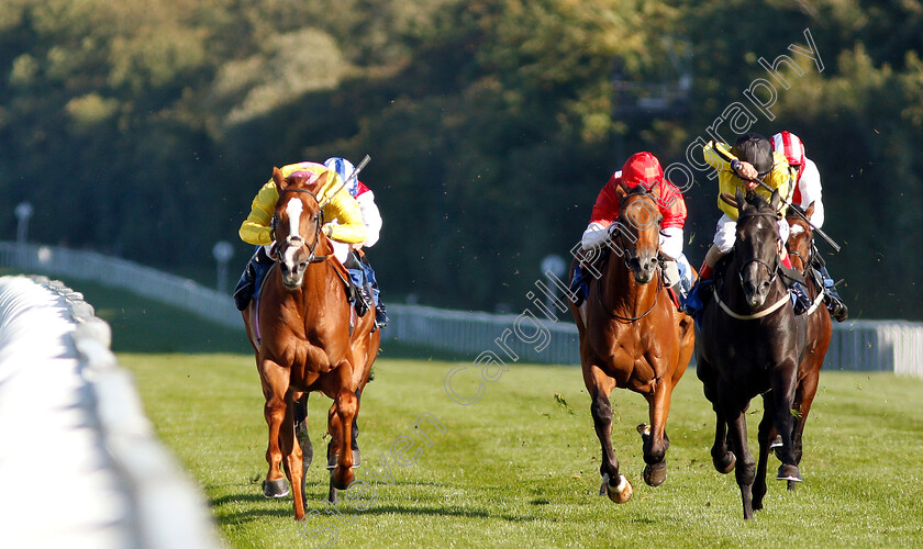 Naughty-Rascal-0003 
 NAUGHTY RASCAL (left, Tom Marquand) beats CHYNNA (right) in The Myddleton & Major Conditions Stakes
Salisbury 3 Oct 2018 - Pic Steven Cargill / Racingfotos.com