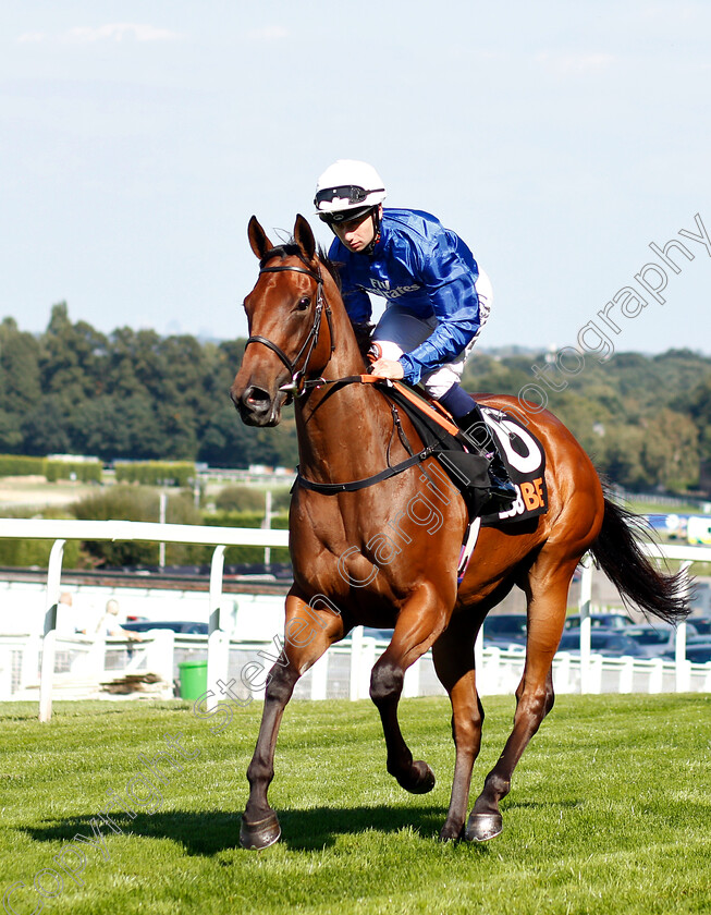 Winter-Lightning-0001 
 WINTER LIGHTNING (Oisin Murphy)
Sandown 1 Sep 2018 - PIc Steven Cargill / Racingfotos.com