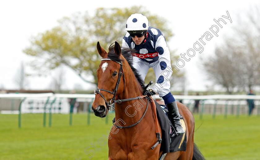 Rebel-Territory-0004 
 REBEL TERRITORY (Jim Crowley) winner of The National Stud Handicap
Newmarket 18 Apr 2023 - Pic Steven Cargill / Racingfotos.com