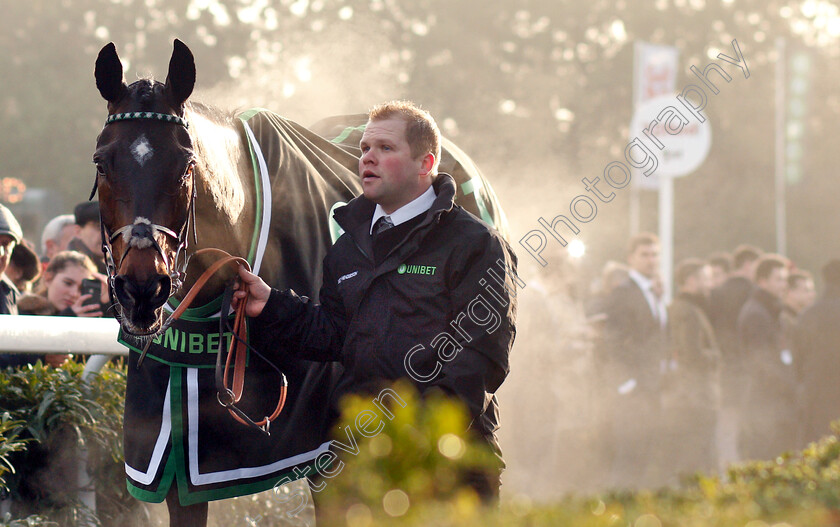 Altior-0010 
 ALTIOR after The Unibet Desert Orchid Chase
Kempton 27 Dec 2018 - Pic Steven Cargill / Racingfotos.com