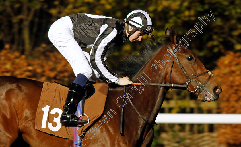 Morning-Light-0001 
 MORNING LIGHT (Hector Crouch)
Kempton 13 Dec 2023 - Pic Steven Cargill / Racingfotos.com