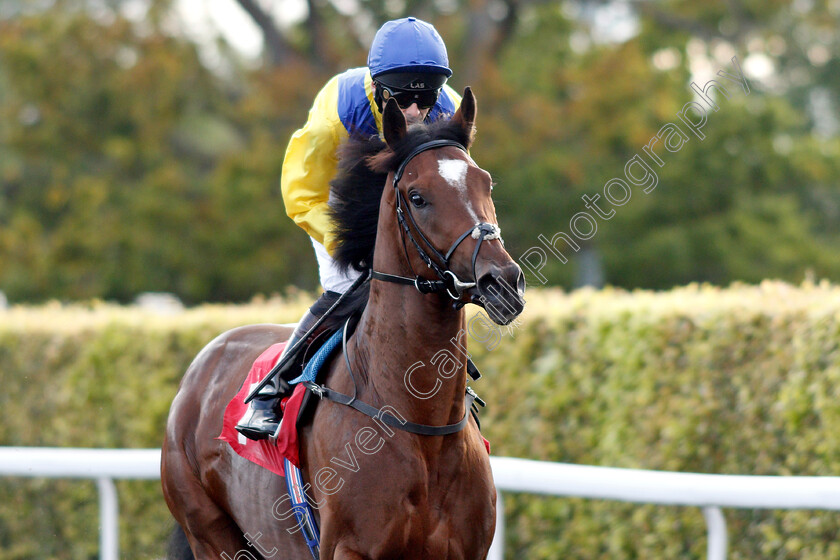 Dubai-Warrior-0002 
 DUBAI WARRIOR (Robert Havlin) winner of The Matchbook Betting Exchange Novice Stakes
Kempton 7 Aug 2019 - Pic Steven Cargill / Racingfotos.com