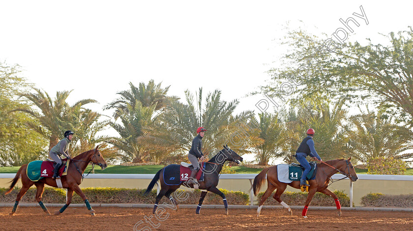 Sealiway-0006 
 SEALIWAY training for The Saudi Cup with GLYCON (12) and SKAZINO (4)
King Abdulaziz Racetrack, Riyadh, Saudi Arabia 22 Feb 2022 - Pic Steven Cargill / Racingfotos.com