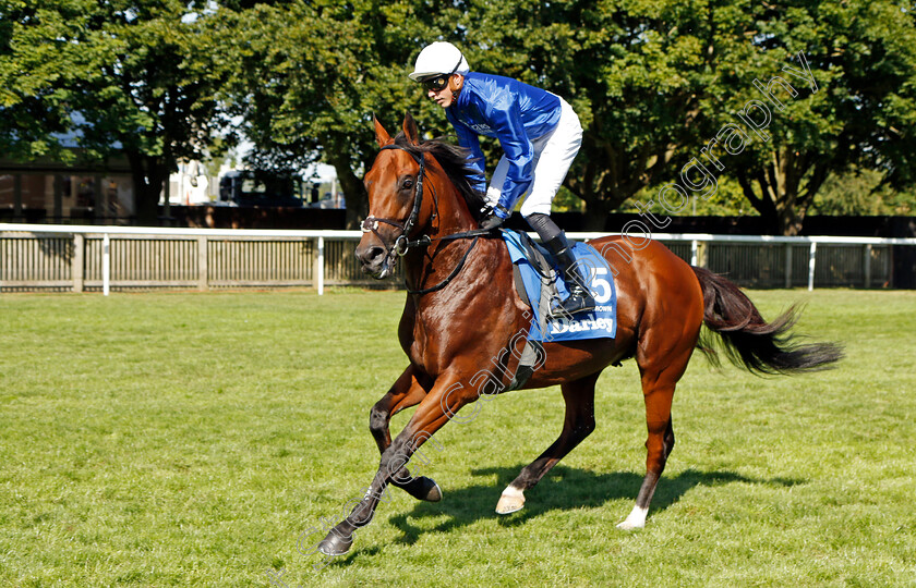 Naval-Crown-0002 
 NAVAL CROWN (James Doyle)
Newmarket 9 Jul 2022 - Pic Steven Cargill / Racingfotos.com