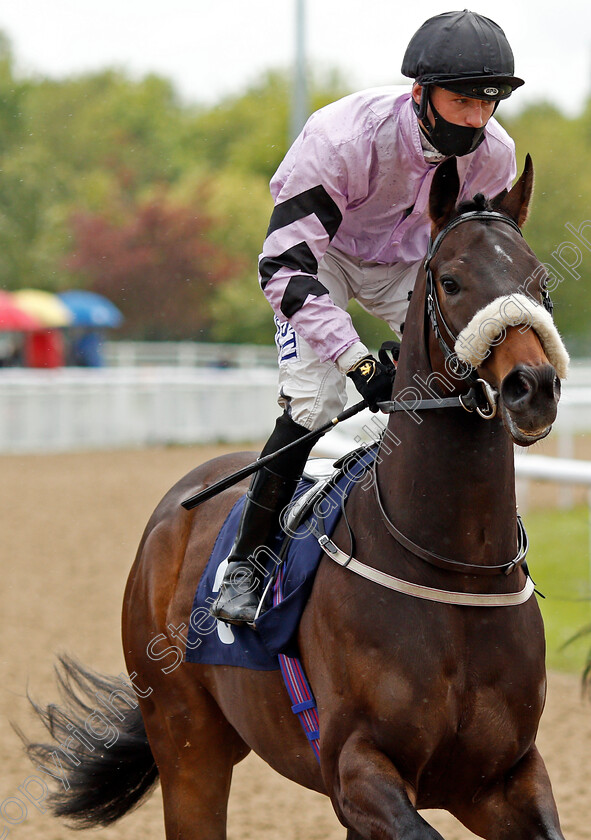 Bridgetown-0001 
 BRIDGETOWN (Cam Hardie)
Wolverhampton 24 May 2021 - Pic Steven Cargill / Racingfotos.com