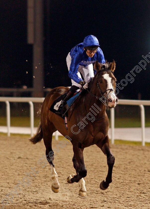 Pitcher s-Point-0002 
 PITCHER'S POINT (Robert Havlin)
Chelmsford 13 Feb 2020 - Pic Steven Cargill / Racingfotos.com