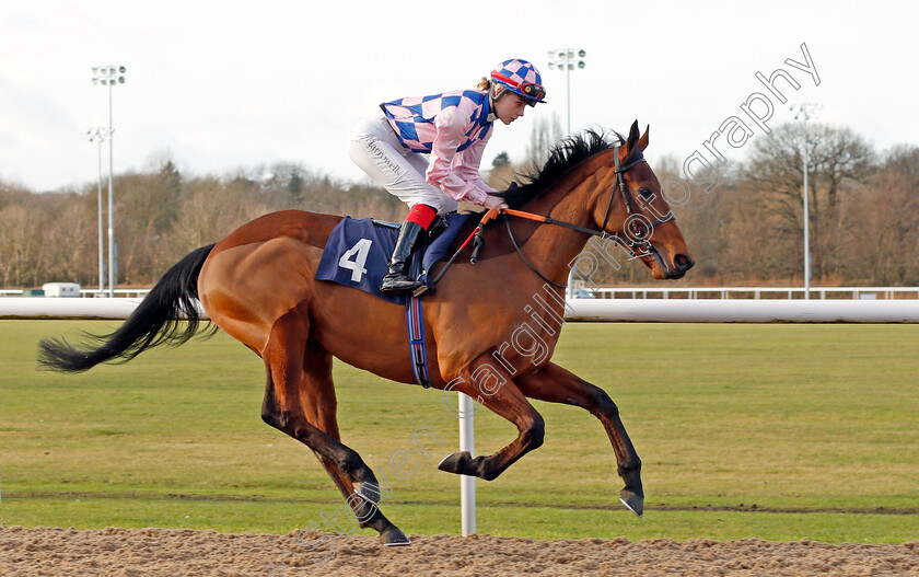 Clap-Your-Hands-0001 
 CLAP YOUR HANDS (Poppy Bridgwater) winner of The Betway Handicap
Wolverhampton 3 Jan 2020 - Pic Steven Cargill / Racingfotos.com