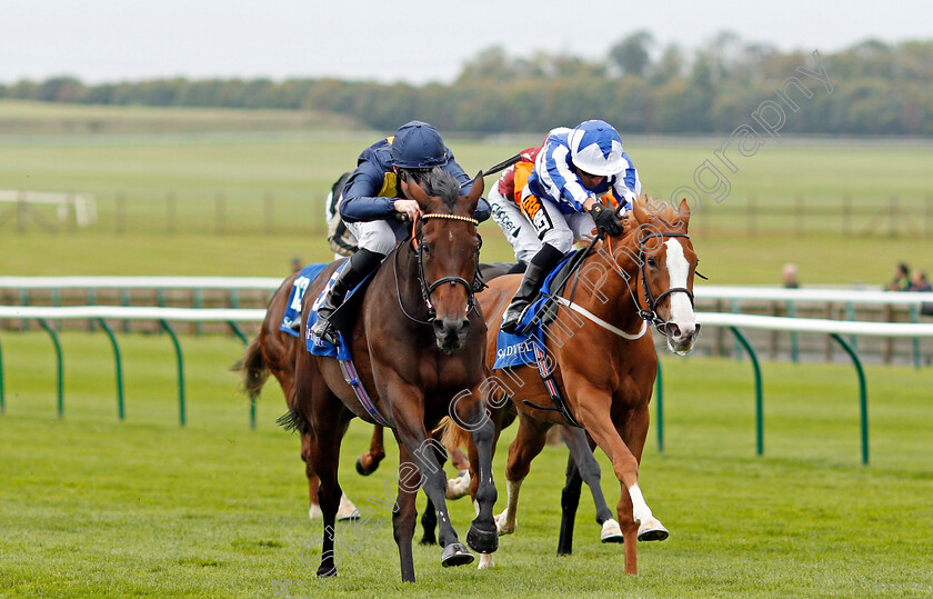 Muffri Ha-0002 
 MUFFRI'HA (Pat Cosgrave) beats TISBUTADREAM (right) in The Muhaarar British EBF Rosemary Stakes Newmarket 29 Sep 2017 - Pic Steven Cargill / Racingfotos.com