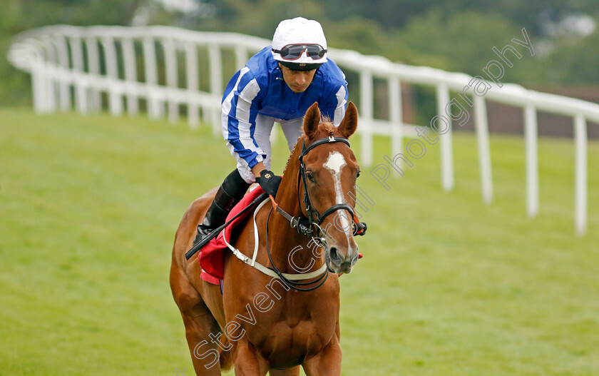 Dance-In-The-Grass-0002 
 DANCE IN THE GRASS (Silvestre de Sousa) winner of The European Bloodstock News EBF Star Stakes
Sandown 21 Jul 2022 - Pic Steven Cargill / Racingfotos.com