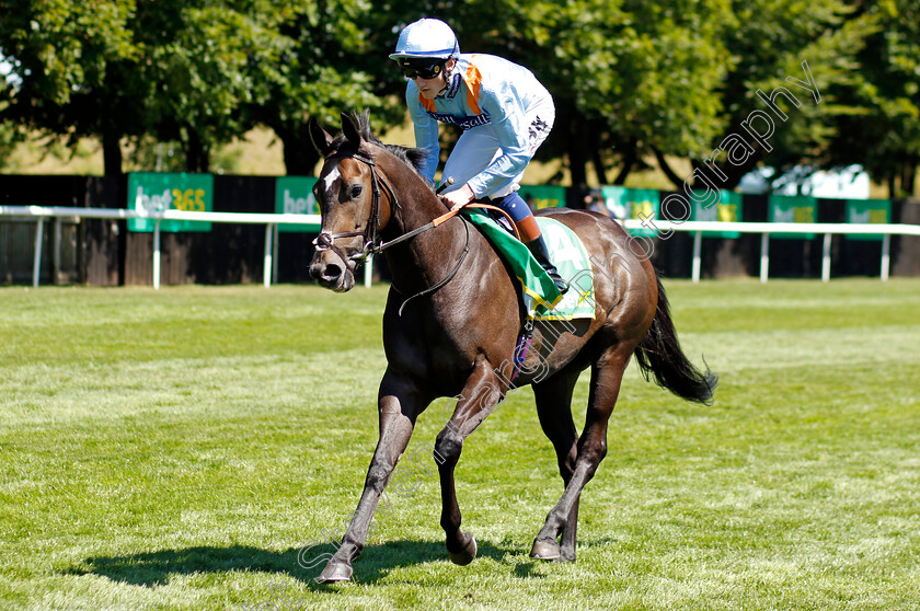 Maylandsea 
 MAYLANDSEA (David Egan)
Newmarket 8 Jul 2022 - Pic Steven Cargill / Racingfotos.com