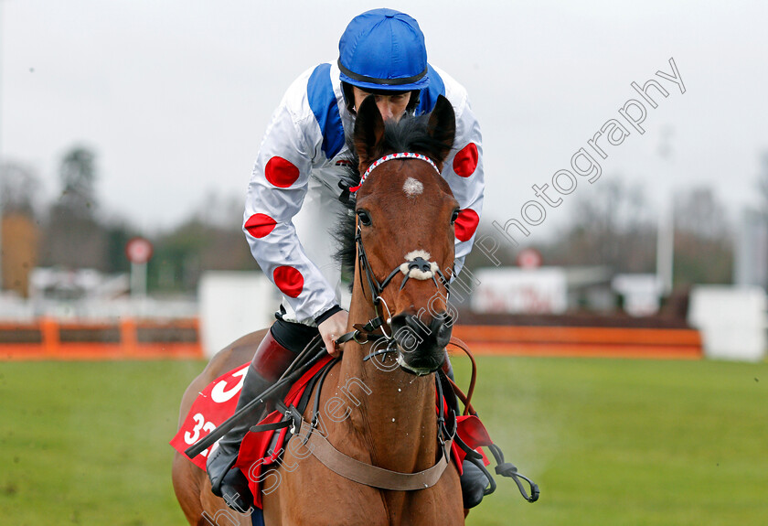 Tommy-Silver-0002 
 TOMMY SILVER (Sam Twiston-Davies) Kempton 27 Dec 2017 - Pic Steven Cargill / Racingfotos.com