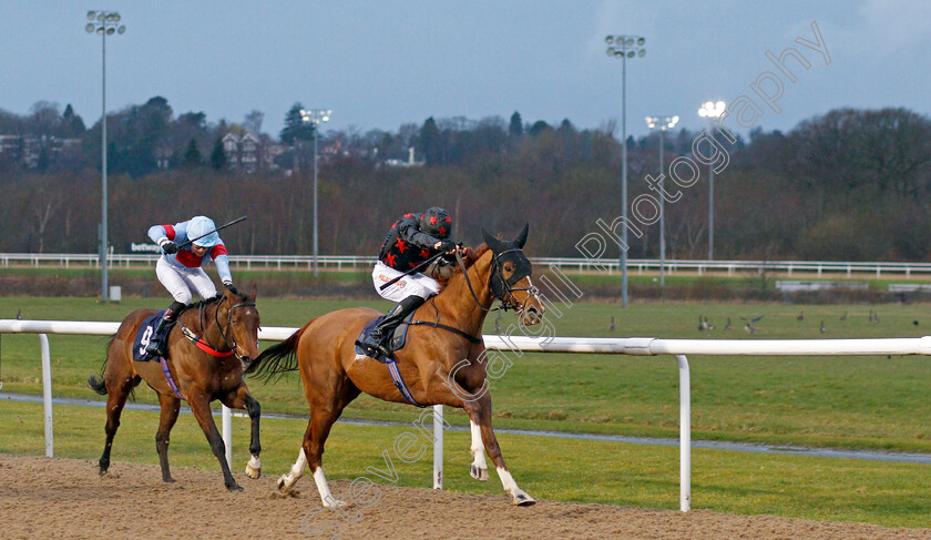 Louis-Treize-0001 
 LOUIS TREIZE (Dougie Costello) wins The Read Ross O'Sullivan On Betway Insider Handicap Div1
Wolverhampton 11 Mar 2022 - Pic Steven Cargill / Racingfotos.com