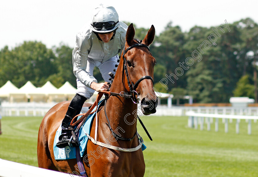 Zestful-0001 
 ZESTFUL (Ryan Moore)
Ascot 23 Jul 2021 - Pic Steven Cargill / Racingfotos.com