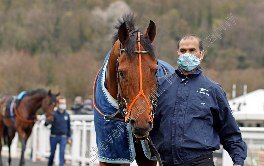 Nugget-0003 
 NUGGET 
Nottingham 7 Apr 2021 - Pic Steven Cargill / Racingfotos.com