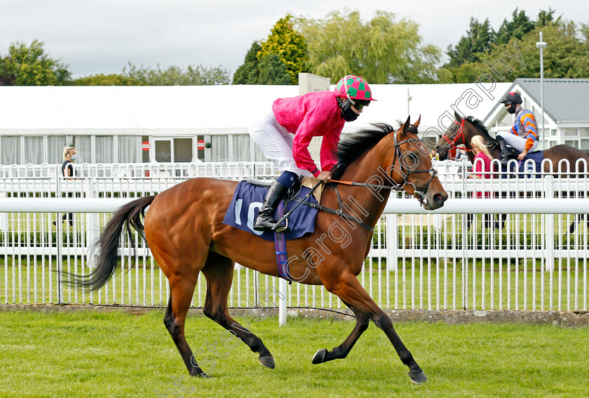 Crime-Of-Passion-0001 
 CRIME OF PASSION (Saffie Osborne)
Bath 18 Jul 2020 - Pic Steven Cargill / Racingfotos.com