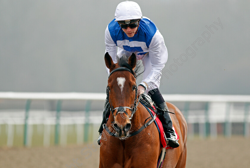 Humbert-0003 
 HUMBERT (James Doyle) Lingfield 3 Mar 2018 - Pic Steven Cargill / Racingfotos.com