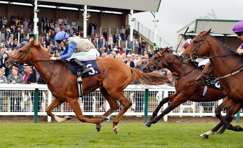 Felix-0004 
 FELIX (Jamie Spencer) wins The British Stallion Studs EBF Novice Stakes
Yarmouth 20 Sep 2018 - Pic Steven Cargill / Racingfotos.com