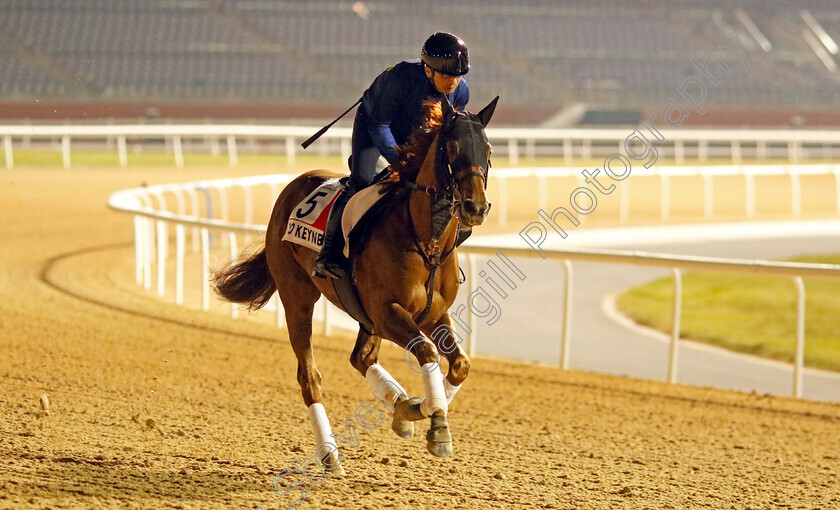 T-O-Keynes-0002 
 GEOGLYPH training for the Dubai World Cup
Meydan, Dubai, 21 Mar 2023 - Pic Steven Cargill / Racingfotos.com