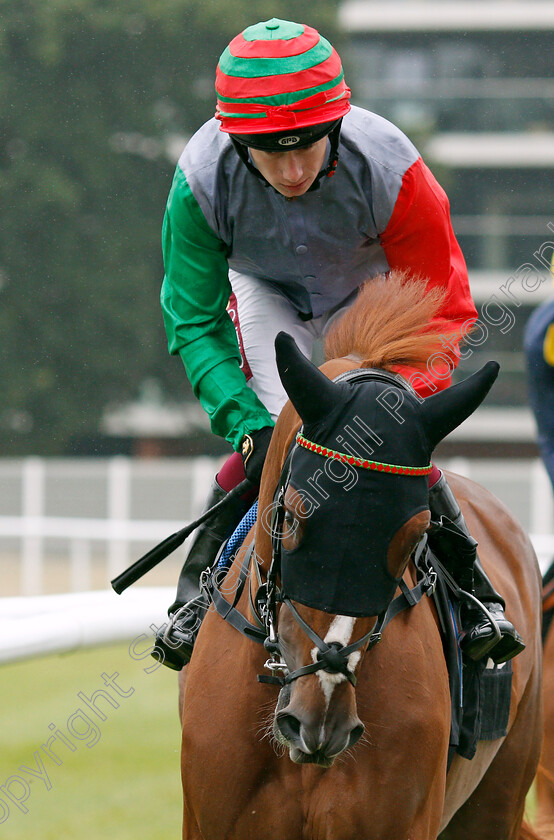 Run-Wild-0001 
 RUN WILD (Oisin Murphy)
Newbury 19 Jul 2019 - Pic Steven Cargill / Racingfotos.com