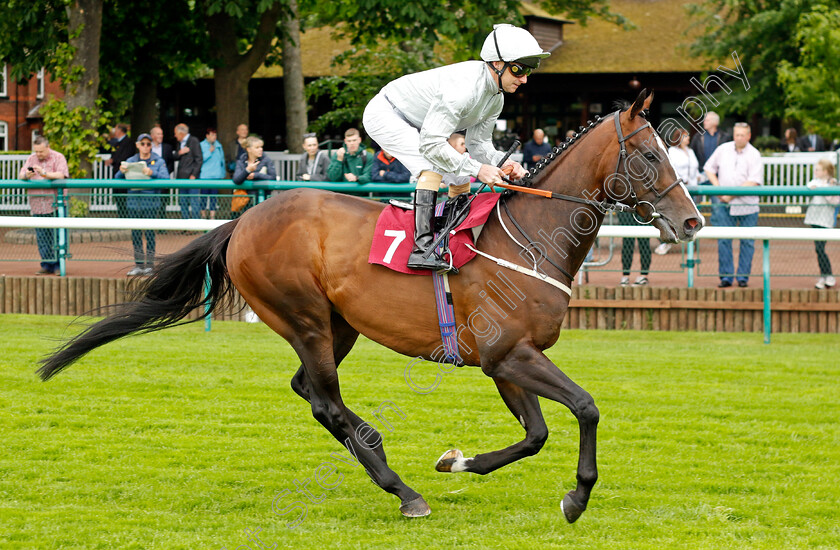 Golden-Flame 
 GOLDEN FLAME (Joe Fanning)
Haydock 21 May 2022 - Pic Steven Cargill / Racingfotos.com