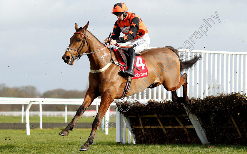 Mambonumberfive-0002 
 MAMBONUMBERFIVE (Ben Jones) wins The Ladbrokes Adonis Juvenile Hurdle
Kempton 22 Feb 2025 - Pic Steven Cargill / Racingfotos.com