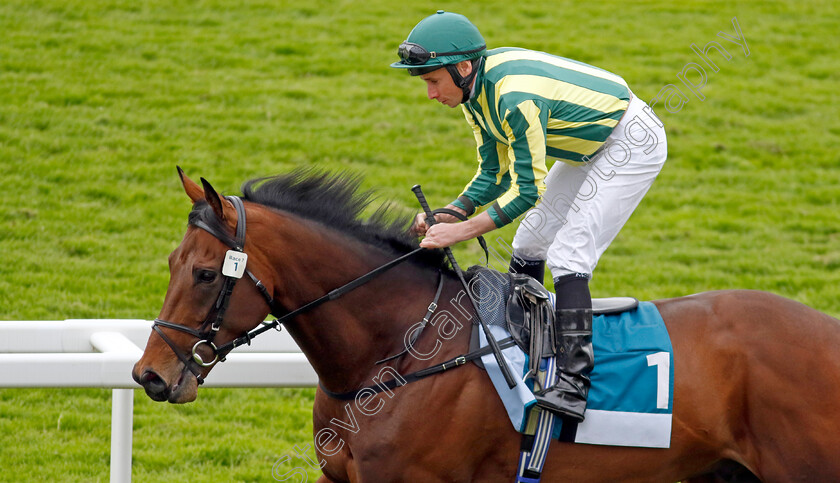 Chesspiece-0008 
 CHESSPIECE (Ryan Moore) winner of The Collective Green Energy Handicap
York 18 May 2023 - Pic Steven Cargill / Racingfotos.com