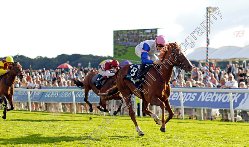 Nigiri-0005 
 NIGIRI (Hector Crouch) wins The British EBF 40th Anniversary Fillies Handicap
York 24 Aug 2023 - Pic Steven Cargill / Racingfotos.com