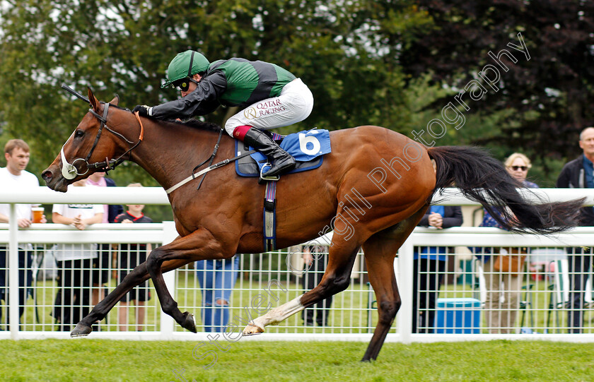 Silent-Flame-0007 
 SILENT FLAME (Oisin Murphy) wins The Peter Britton 60 Years Racing At Salisbury Fillies Handicap
Salisbury 12 Aug 2021 - Pic Steven Cargill / Racingfotos.com