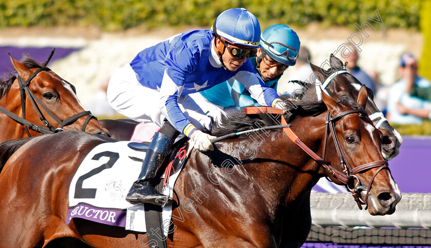 Structor-0004 
 STRUCTOR (Jose Ortiz) wins The Breeders' Cup Juvenile Turf
Santa Anita USA 1 Nov 2019 - Pic Steven Cargill / Racingfotos.com