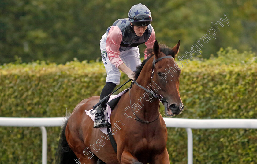 Rudies-In-Court-0001 
 RUDIES IN COURT (Paddy Bradley)
Kempton 8 Sep 2023 - Pic Steven Cargill / Racingfotos.com