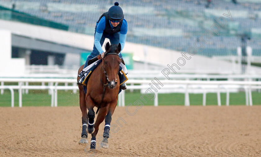 Stenton-Glider-0002 
 STENTON GLIDER training at the Dubai Racing Carnival 
Meydan 4 Jan 2024 - Pic Steven Cargill / Racingfotos.com