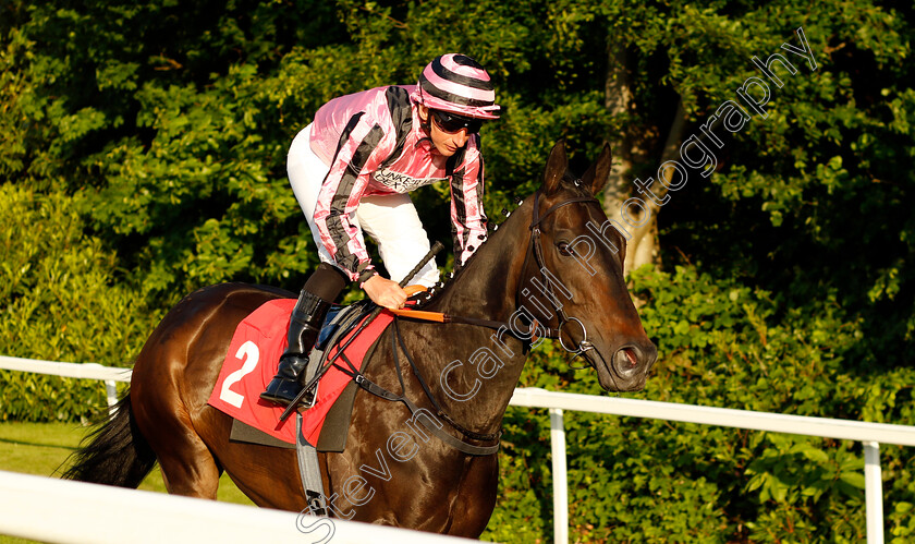 Chichester-0001 
 CHICHESTER (P J McDonald)
Sandown 25 May 2023 - Pic Steven Cargill / Racingfotos.com