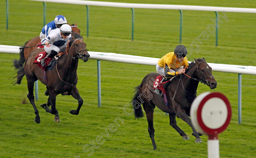 Luther-0003 
 LUTHER (Daniel Tudhope) wins The Betfair Ascendant Stakes
Haydock 7 Sep 2024 - Pic Steven Cargill / Racingfotos.com