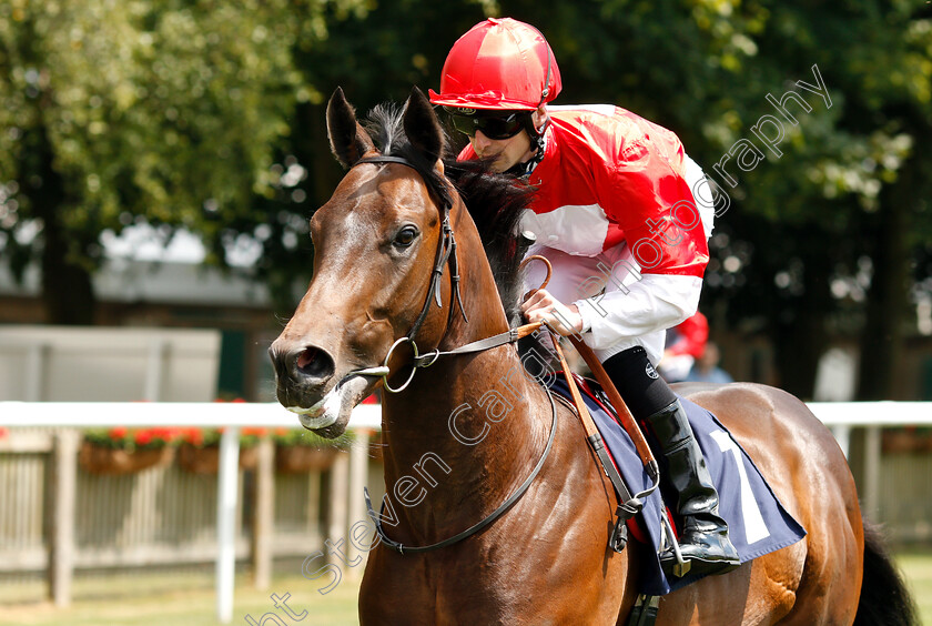 Mohogany-0001 
 MOHOGANY (Jack Mitchell)
Newmarket 28 Jun 2018 - Pic Steven Cargill / Racingfotos.com