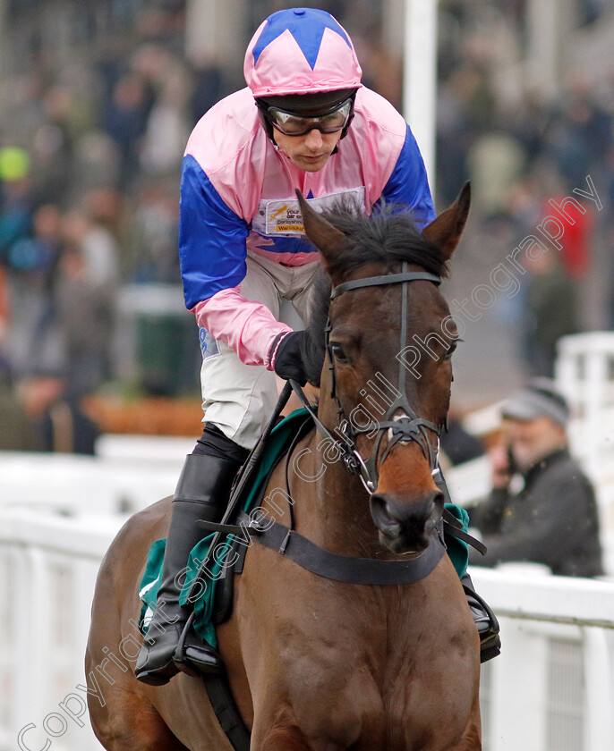 Country-Mile-0006 
 COUNTRY MILE (Harry Skelton) winner of The British EBF National Hunt Novices Hurdle
Cheltenham 13 Dec 2024 - Pic Steven Cargill / Racingfotos.com