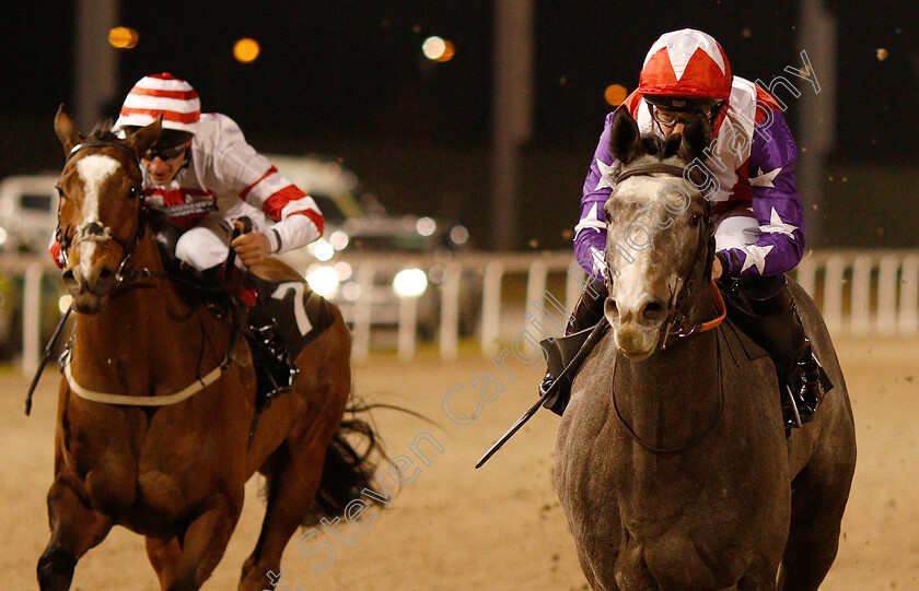 Harbour-Vision-0004 
 HARBOUR VISION (Paddy Mathers) wins The Double Delight Hat-Trick Heaven At totesport.com Handicap
Chelmsford 20 Feb 2019 - Pic Steven Cargill / Racingfotos.com