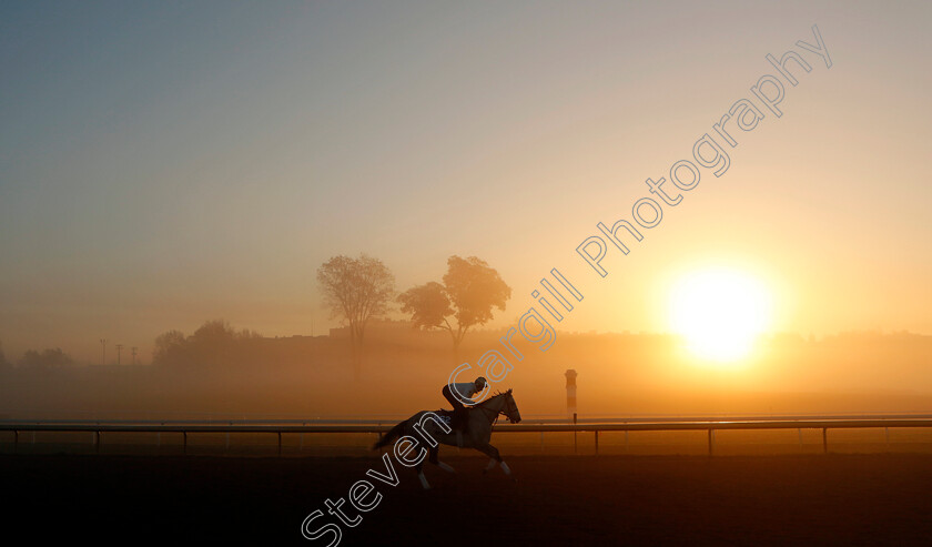 Obligatory-0001 
 OBLIGATORY at sunrise during training for the Breeders' Cup Filly & Mare Sprint
Keeneland USA 3 Nov 2022 - Pic Steven Cargill / Racingfotos.com