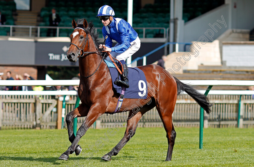 Mutanaqel-0001 
 MUTANAQEL (Jim Crowley) Newmarket 28 Sep 2017 - Pic Steven Cargill / Racingfotos.com