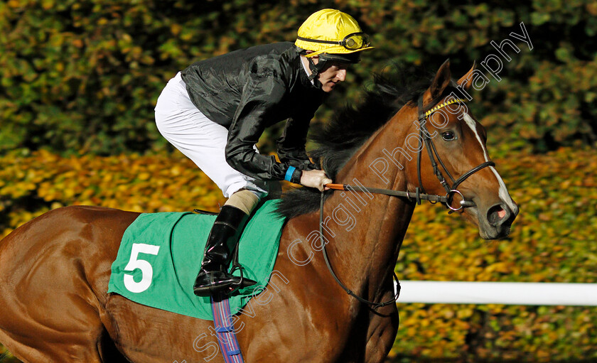 Catoca-0001 
 CATOCA (Liam Keniry) Kempton 8 Nov 2017 - Pic Steven Cargill / Racingfotos.com