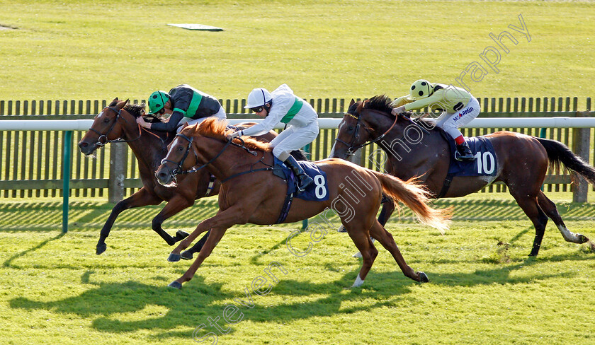 Face-The-Facts-0004 
 FACE THE FACTS (nearside, Ted Durcan) beats NEARLY CAUGHT (farside) and UAE KING (right) in The Jockey Club Rose Bowl Stakes Newmarket 28 Sep 2017 - Pic Steven Cargill / Racingfotos.com