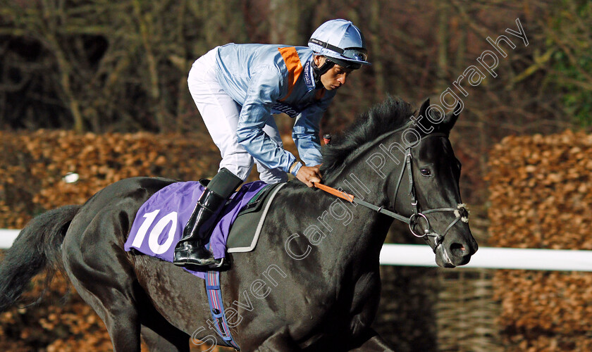 Sopranos-Rock-0001 
 SOPRANOS ROCK (Sean Levey) Kempton 7 Mar 2018 - Pic Steven Cargill / Racingfotos.com